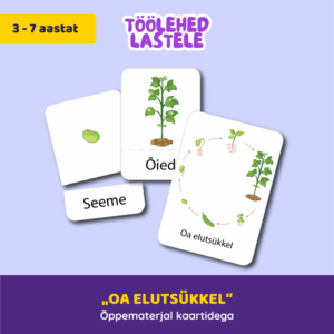 Kaardid „Oa elutsükkel“