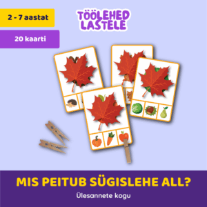 Pesulõksumäng „Mis peitub sügislehe all“